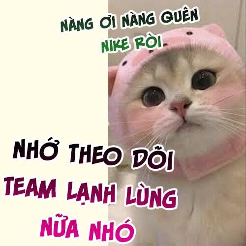 Sau Khi Trùng Sinh, Bên Cạnh Ta Toàn Là Con Của Kẻ Thù Chapter 24 - Trang 2