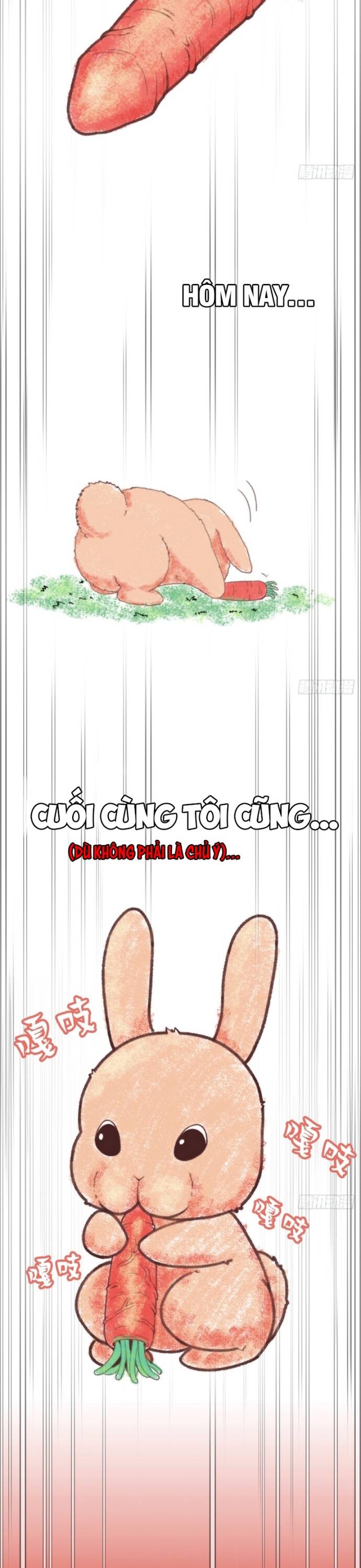 Hệ Thống Tận Thế Của Tôi Sụp Đổ Rồi Chapter 7 - Trang 2