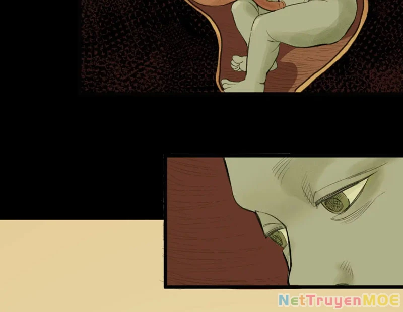 Về Nam Thiên Chapter 2 - Trang 2