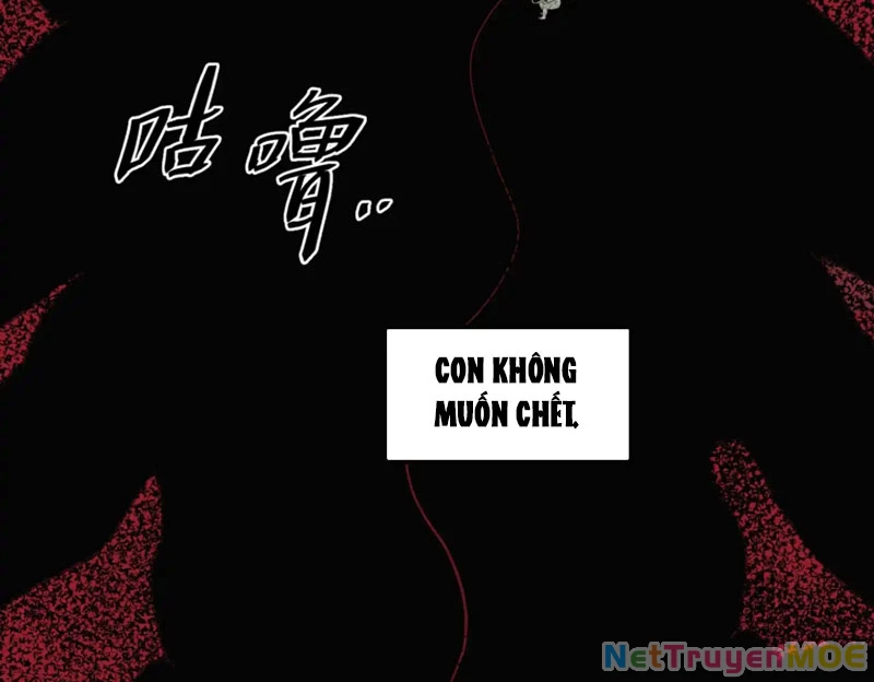 Về Nam Thiên Chapter 2 - Trang 2