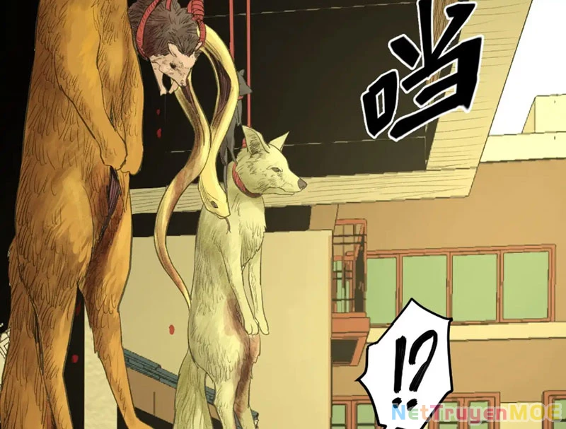Về Nam Thiên Chapter 3 - Trang 2