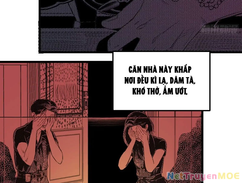 Về Nam Thiên Chapter 5 - Trang 2