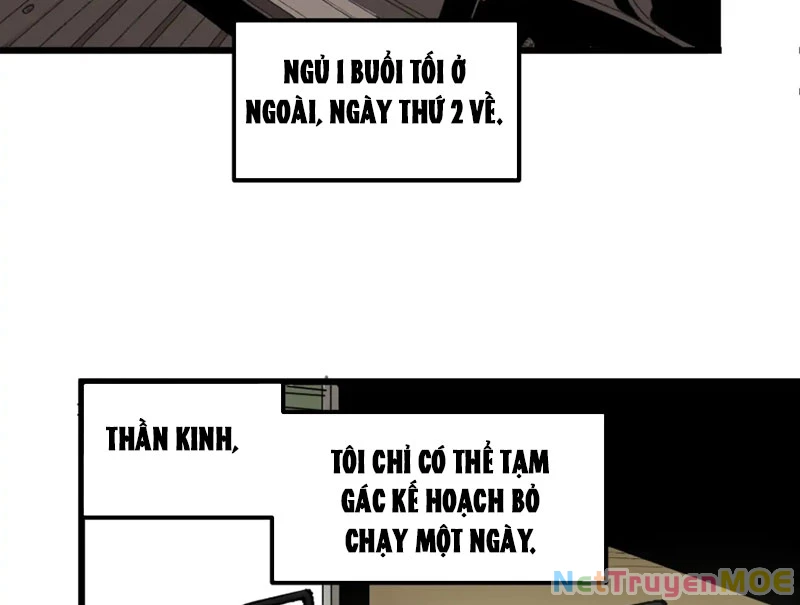 Về Nam Thiên Chapter 5 - Trang 2