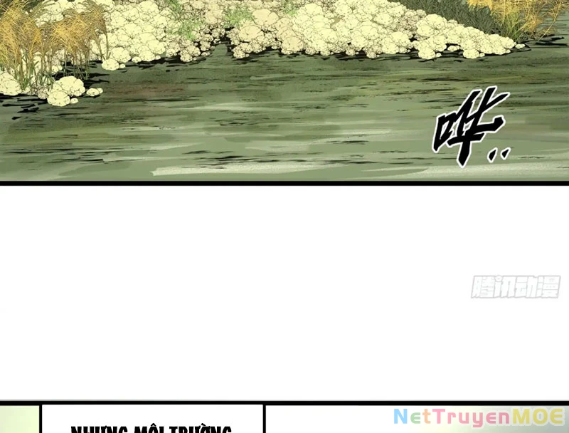 Về Nam Thiên Chapter 5 - Trang 2