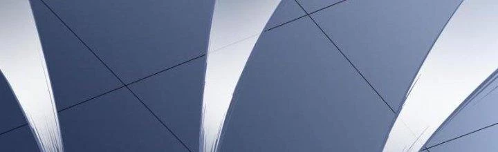 Ta Liều Mạng Mạnh Lên Chapter 11 - Trang 2