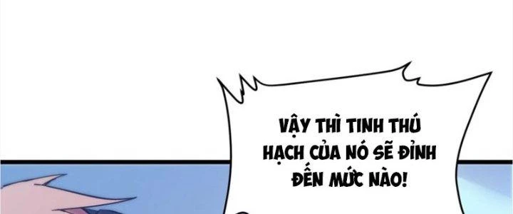 Ta Liều Mạng Mạnh Lên Chapter 19 - Trang 2