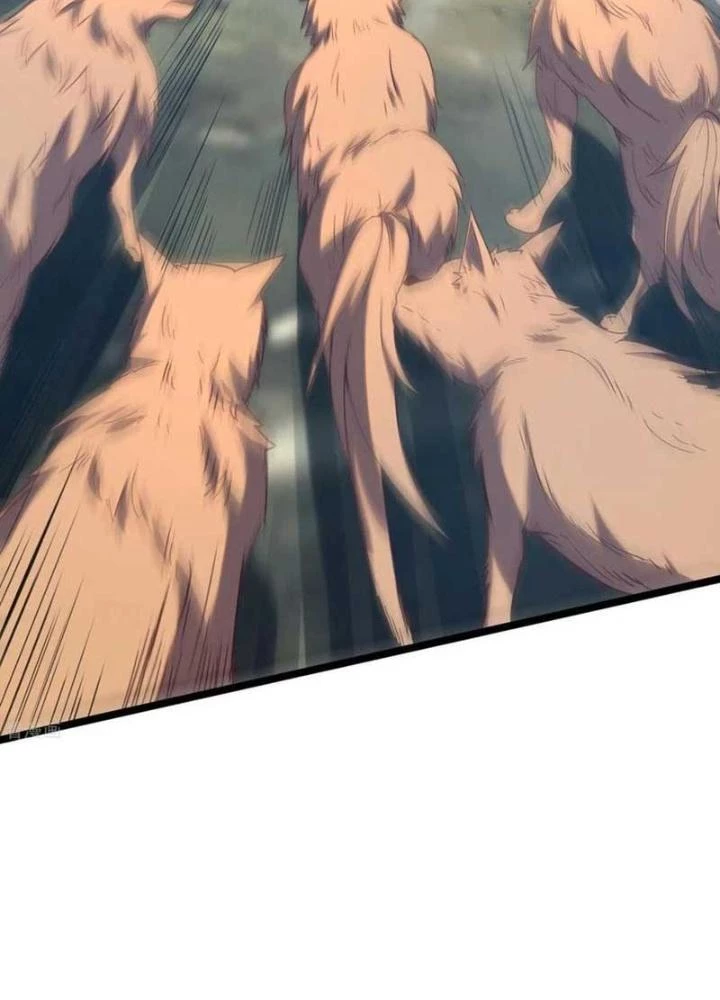 Ta Liều Mạng Mạnh Lên Chapter 24 - Trang 2