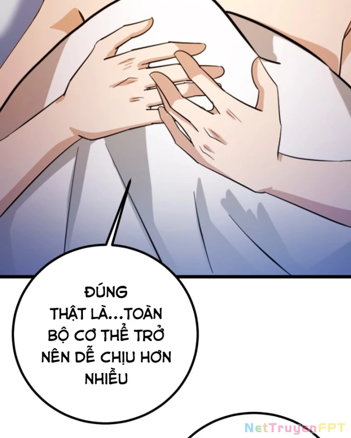 Ngươi Cấp Bậc Gì Dám Giả Bộ Trước Mặt Bảy Sư Tỷ Của Ta? Chapter 164 - Trang 2