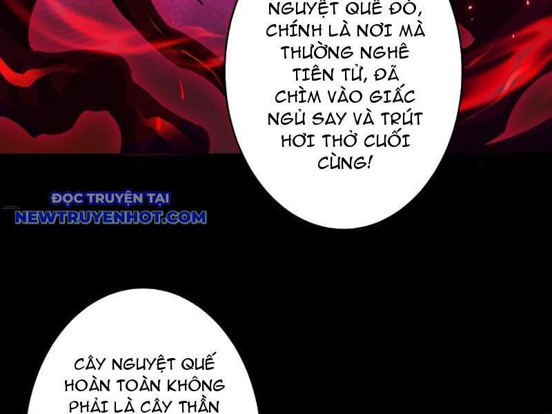 Vô Hạn Chuyển Chức: Ta Có Thể Triệu Hoán Nữ Thần Max Cấp Chapter 40 - Trang 2