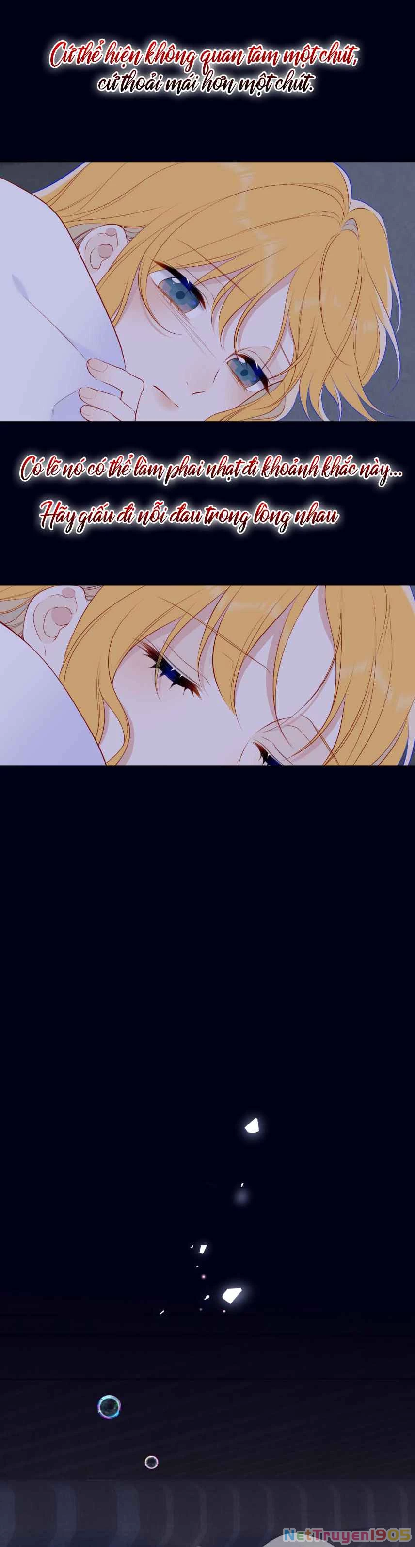 Ngôi Sao Cho Tôi Phần 2 Chapter 29 - Trang 2