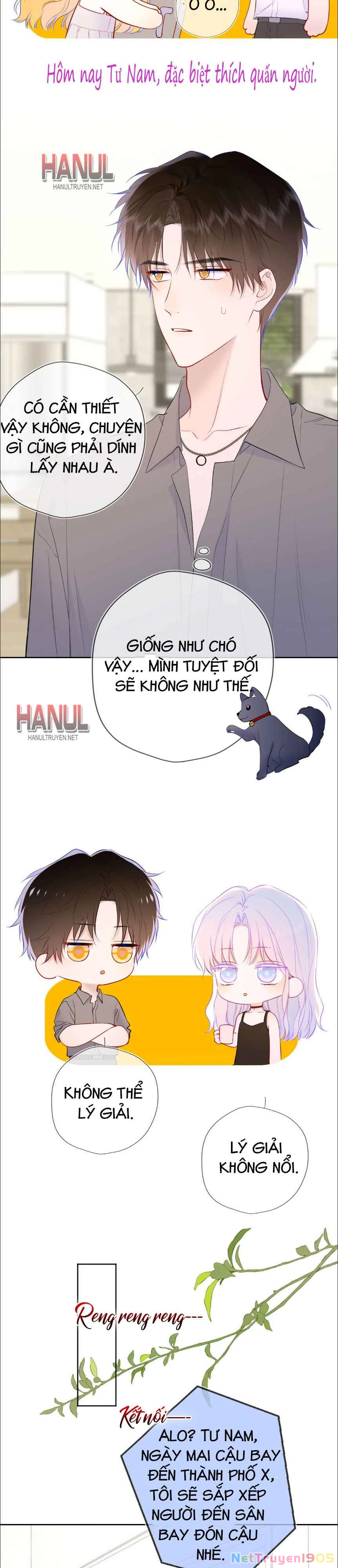 Ngôi Sao Cho Tôi Phần 2 Chapter 40 - Trang 2