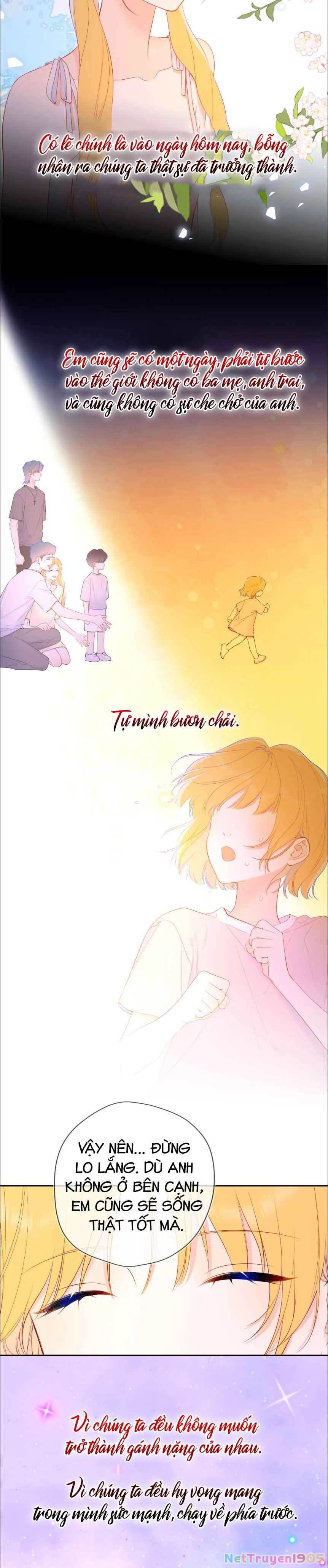 Ngôi Sao Cho Tôi Phần 2 Chapter 40 - Trang 2