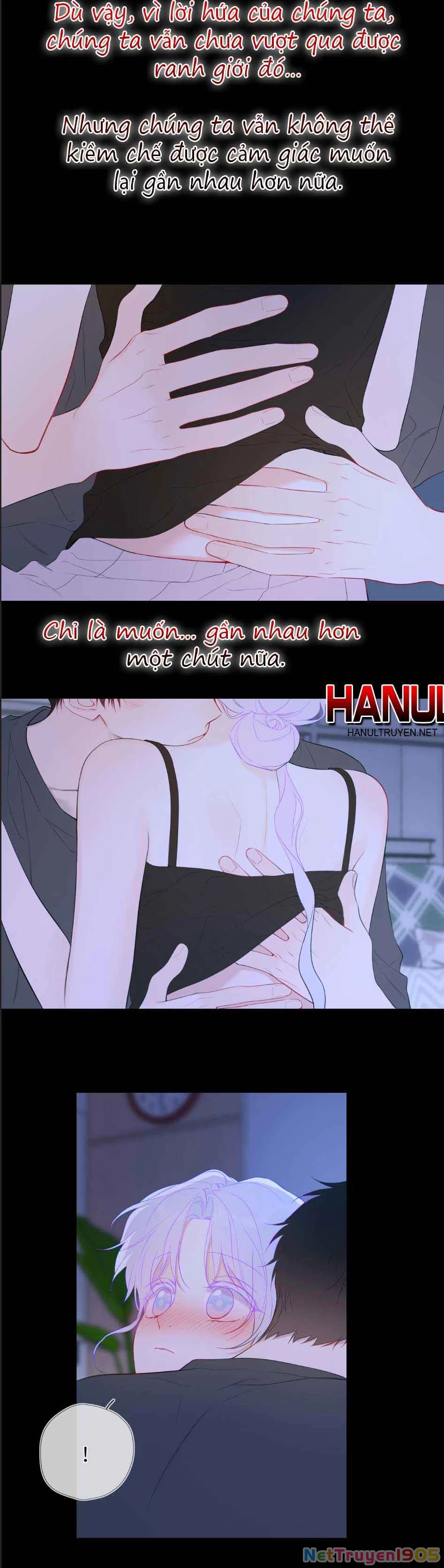 Ngôi Sao Cho Tôi Phần 2 Chapter 43 - Trang 2