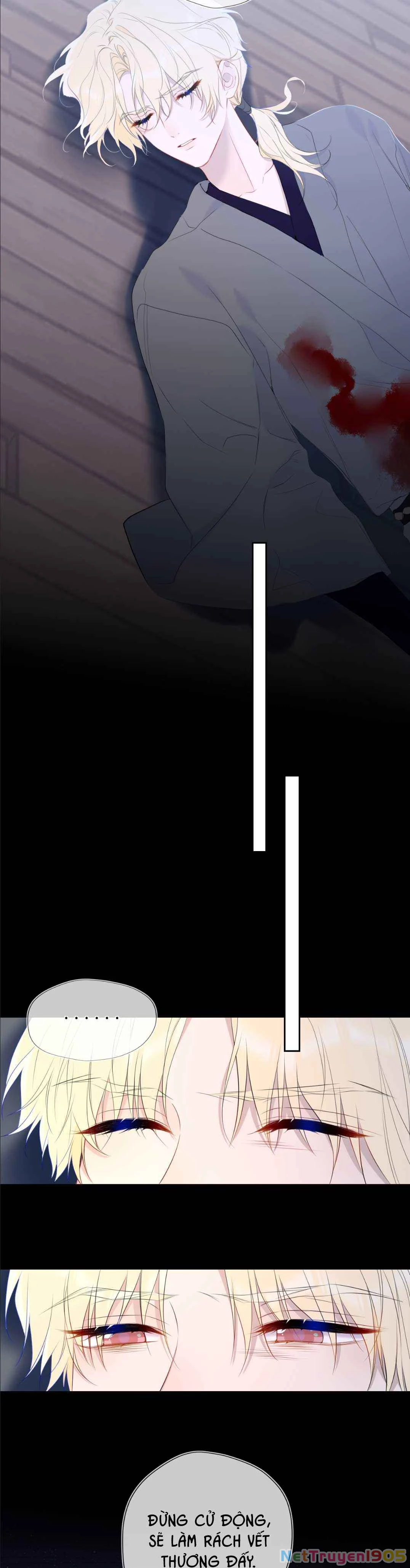 Ngôi Sao Cho Tôi Phần 2 Chapter 47 - Trang 2