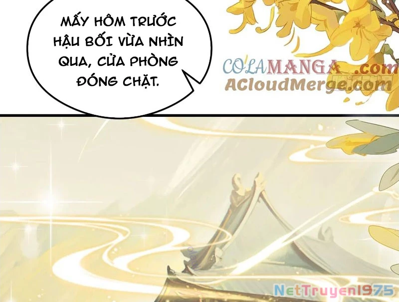 Hoá Ra Ta Đã Vô Địch Từ Lâu Chapter 287 - Trang 2