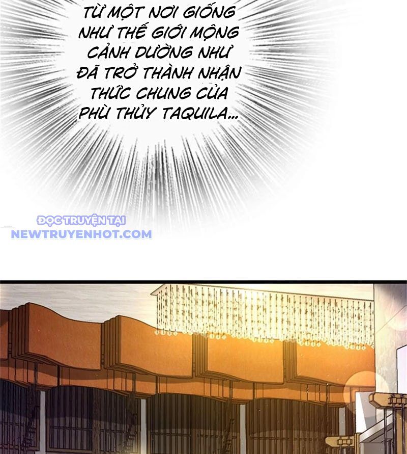 Thả Vu Nữ Đó Ra Chapter 669 - Trang 2