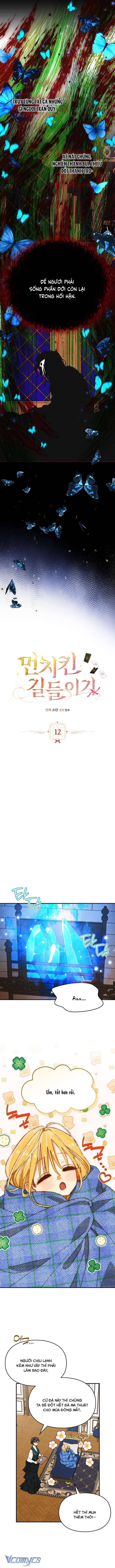 Thuần Hóa Munchkin Chapter 12 - Trang 2