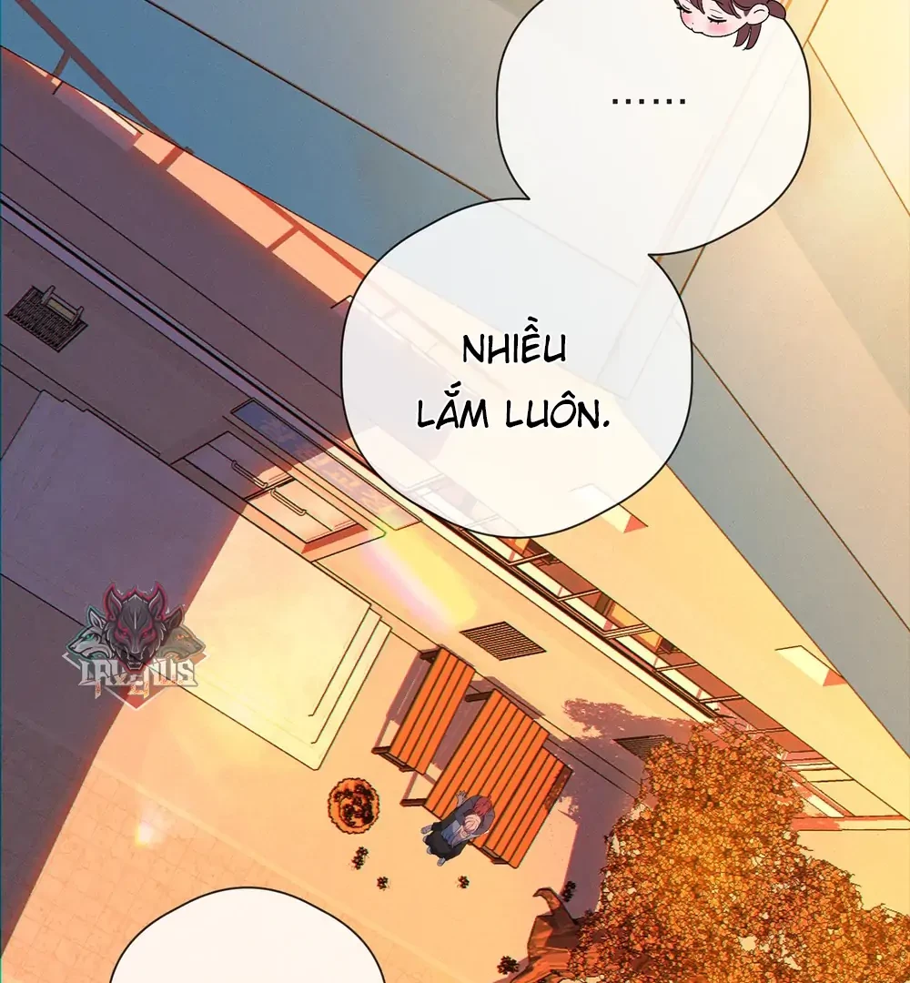 Tình Yêu Méo Mó Chapter 11 - Trang 2