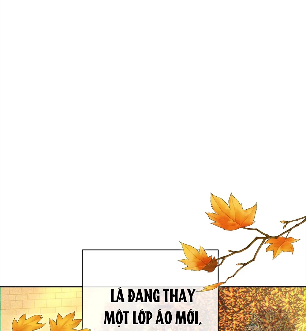 Tình Yêu Méo Mó Chapter 11 - Trang 2