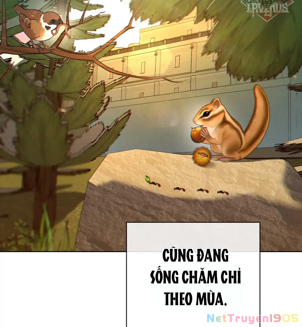Tình Yêu Méo Mó Chapter 11 - Trang 2