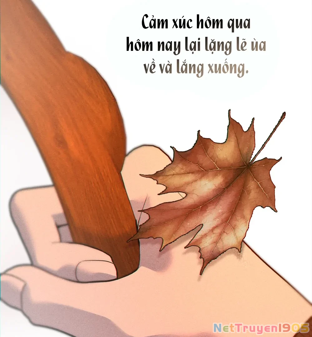 Tình Yêu Méo Mó Chapter 11 - Trang 2