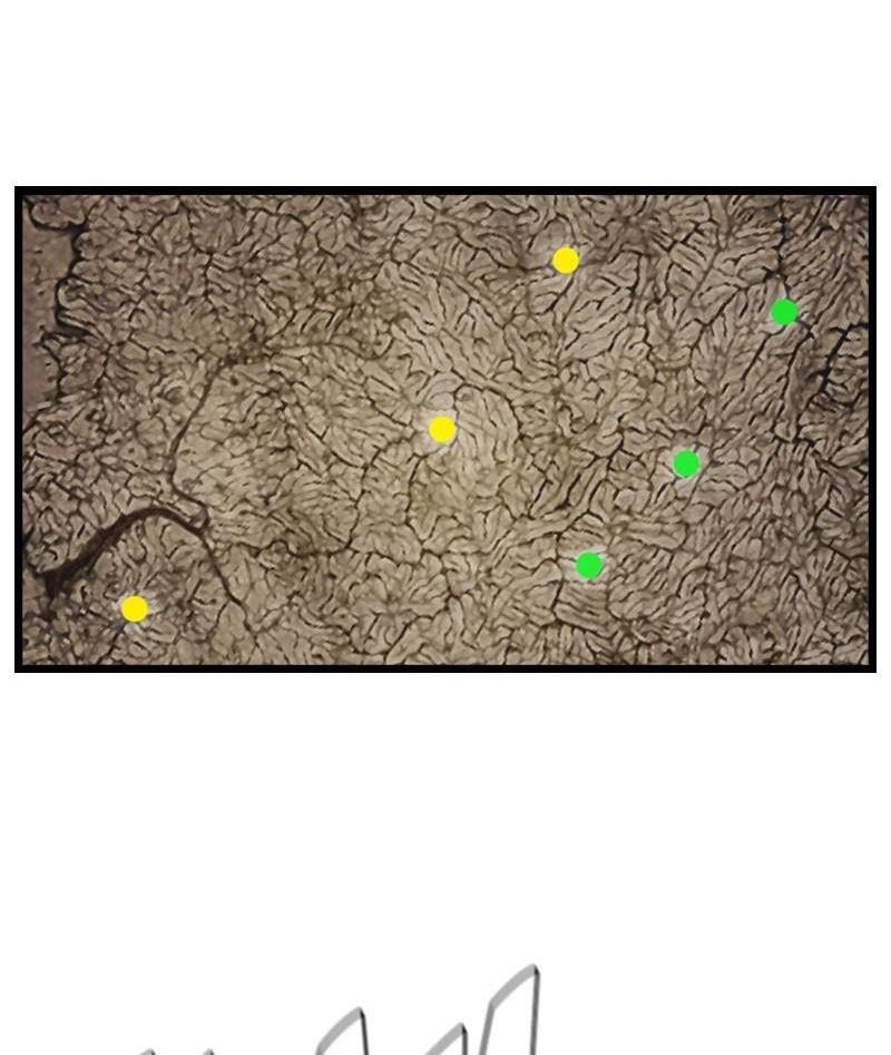 The First Hunter Chapter 59 - Trang 2