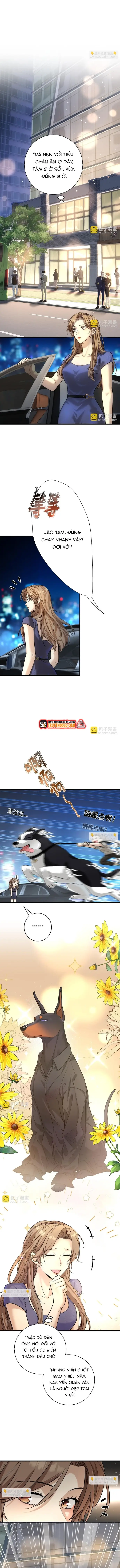 Vô Tình Kết Hôn Với Tổng Tài Chapter 30 - Trang 2