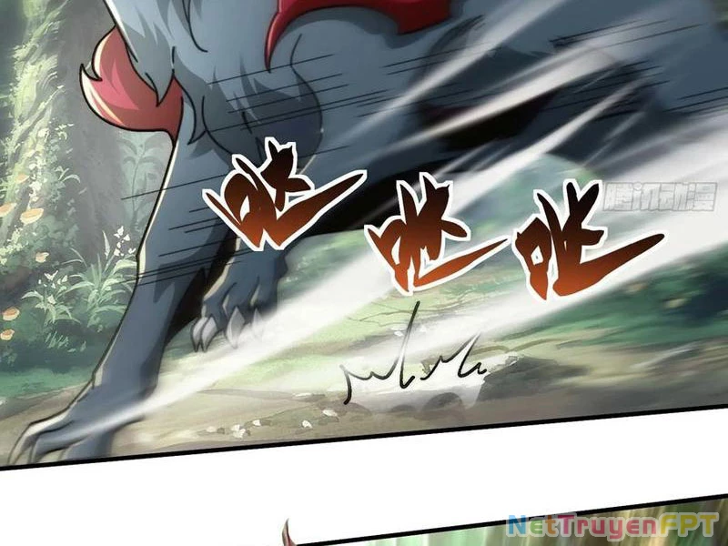Ta Thực Sự Không Có Hứng Tu Tiên Chapter 58 - Trang 2