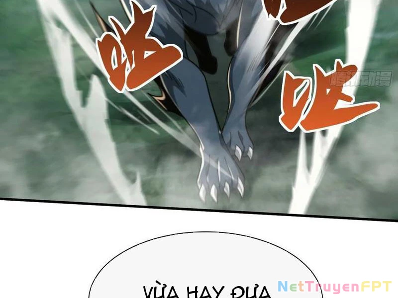 Ta Thực Sự Không Có Hứng Tu Tiên Chapter 58 - Trang 2