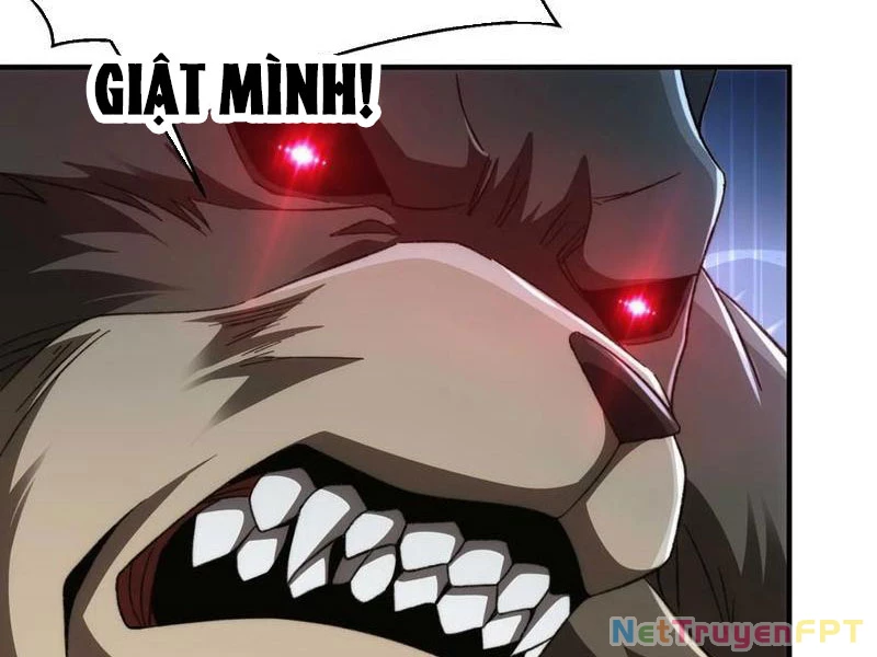 Ta Thực Sự Không Có Hứng Tu Tiên Chapter 58 - Trang 2