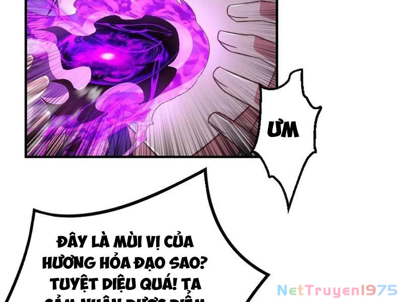 Ta Thực Sự Không Có Hứng Tu Tiên Chapter 66 - Trang 2