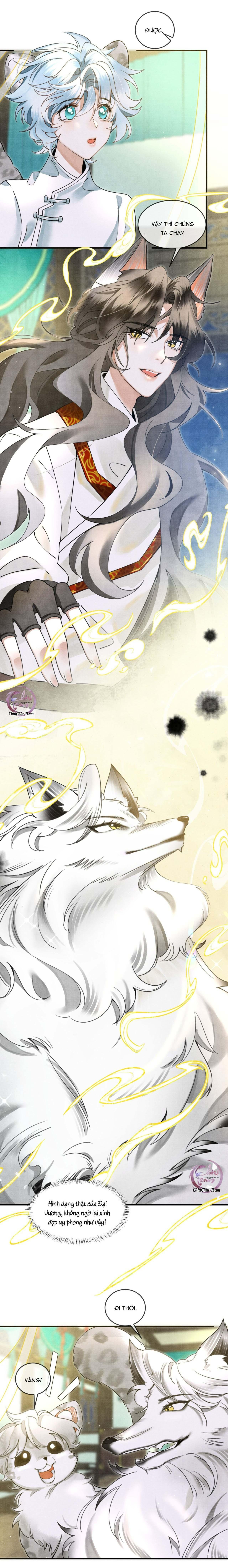 Báo Tuyết Thích Cắn Đuôi Chapter 10 - Trang 2