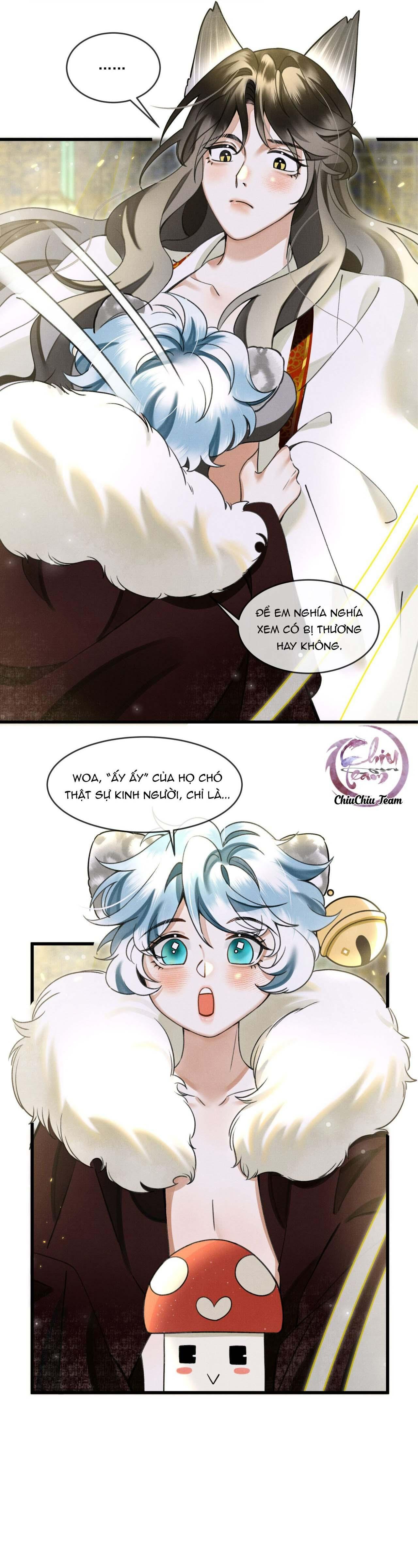 Báo Tuyết Thích Cắn Đuôi Chapter 14 - Trang 2