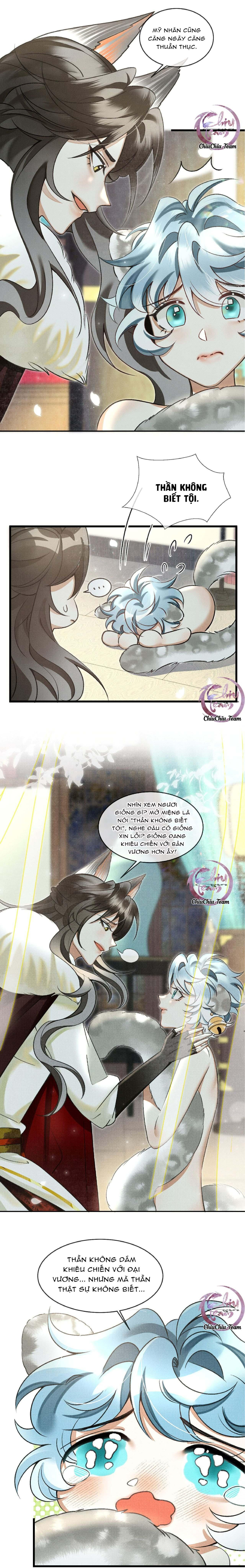 Báo Tuyết Thích Cắn Đuôi Chapter 23 - Trang 2