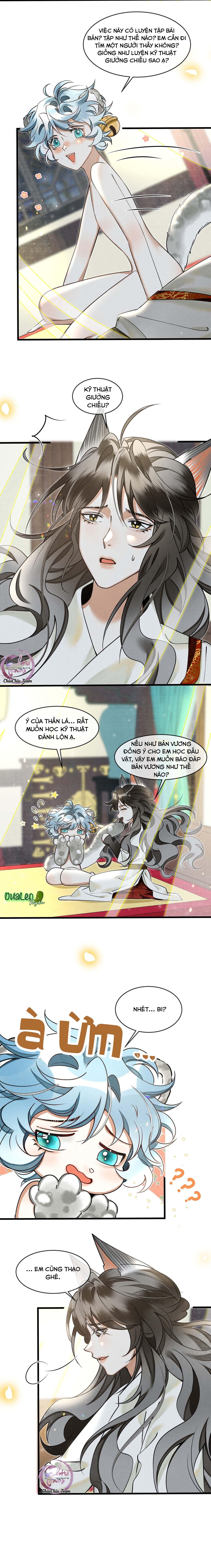 Báo Tuyết Thích Cắn Đuôi Chapter 26 - Trang 2