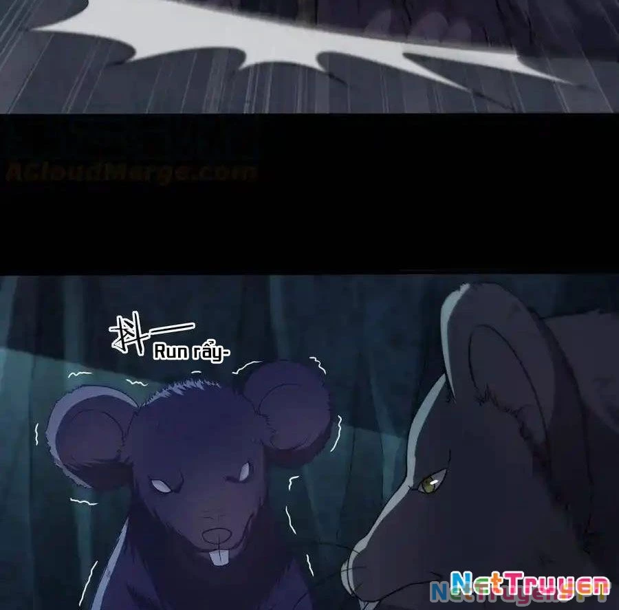 Thợ Cạo Hành Tà Chapter 33 - Trang 2