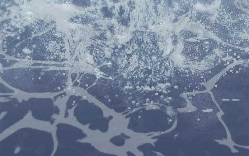 Đào Tạo Mấy Con Mắm Trong Tuyệt Vọng Chapter 57 - Trang 2