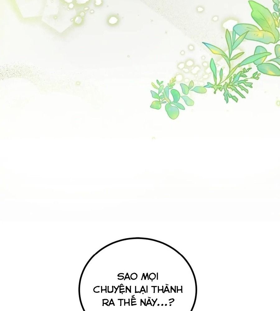 Không Bao Giờ Trở Về Gia Đình Đã Bỏ Rơi Tôi Chapter 2 - Trang 2