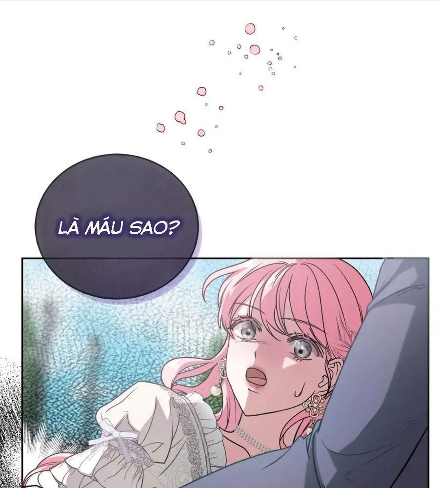 Không Bao Giờ Trở Về Gia Đình Đã Bỏ Rơi Tôi Chapter 2 - Trang 2