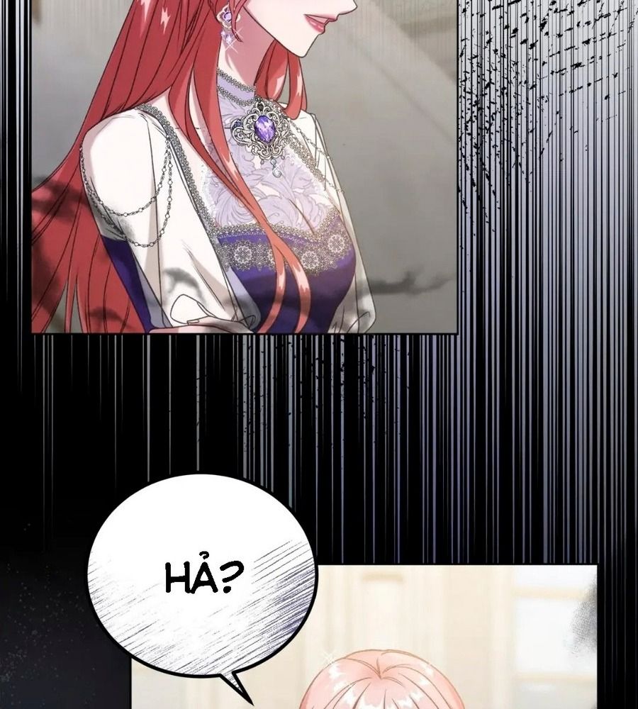 Không Bao Giờ Trở Về Gia Đình Đã Bỏ Rơi Tôi Chapter 2 - Trang 2