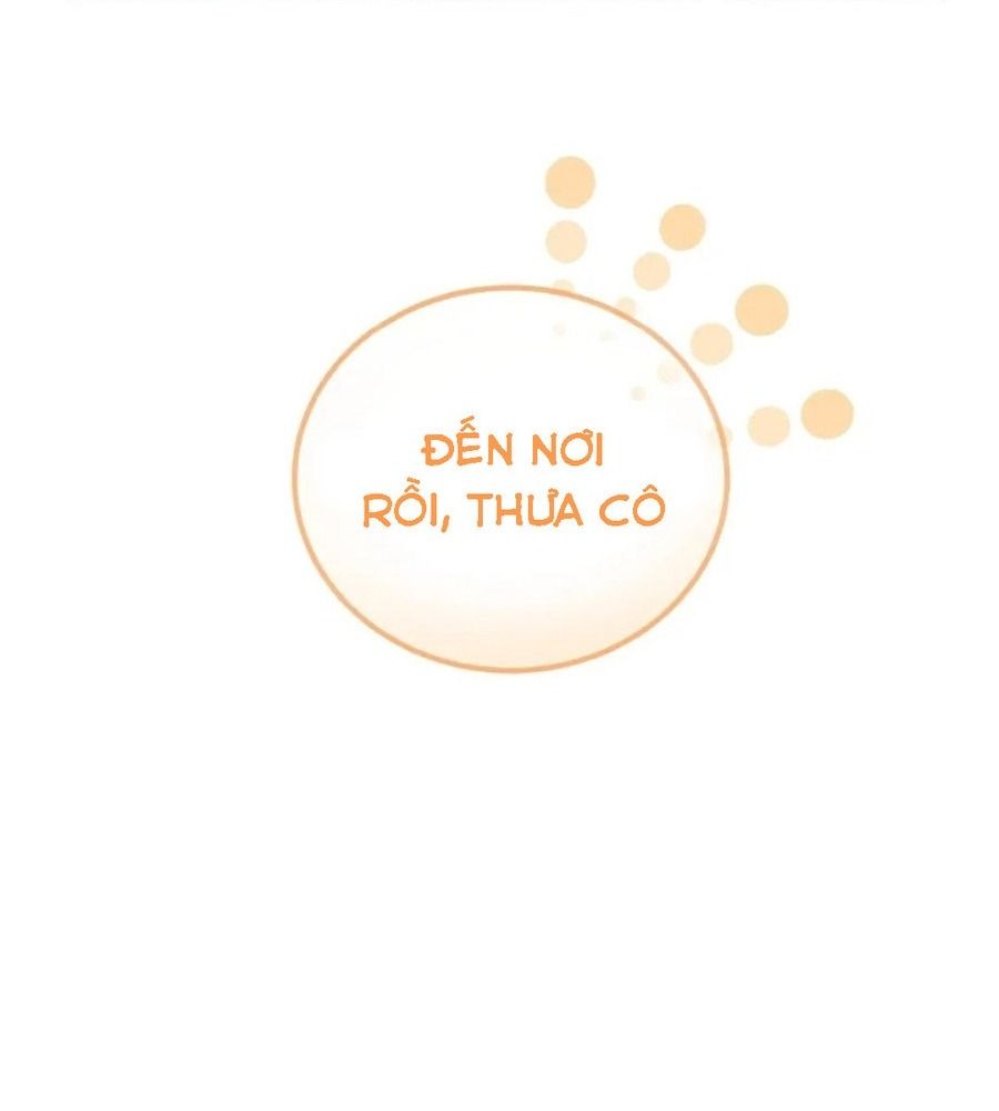 Không Bao Giờ Trở Về Gia Đình Đã Bỏ Rơi Tôi Chapter 2 - Trang 2