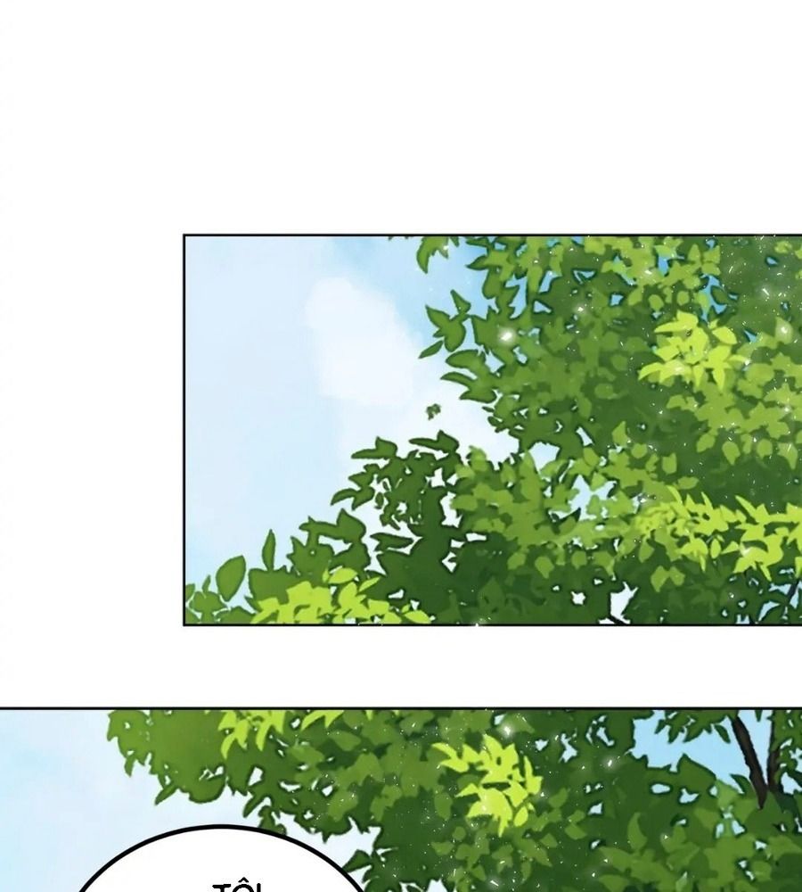 Không Bao Giờ Trở Về Gia Đình Đã Bỏ Rơi Tôi Chapter 6 - Trang 2