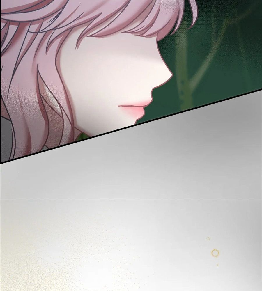 Không Bao Giờ Trở Về Gia Đình Đã Bỏ Rơi Tôi Chapter 7 - Trang 2