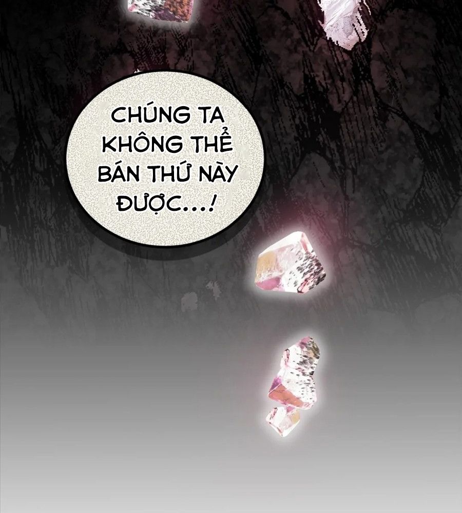 Không Bao Giờ Trở Về Gia Đình Đã Bỏ Rơi Tôi Chapter 16 - Trang 2
