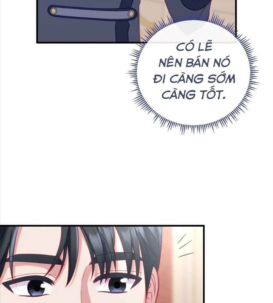 Không Bao Giờ Trở Về Gia Đình Đã Bỏ Rơi Tôi Chapter 16 - Trang 2