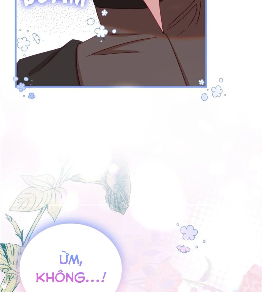 Không Bao Giờ Trở Về Gia Đình Đã Bỏ Rơi Tôi Chapter 16 - Trang 2