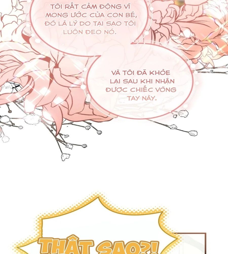 Không Bao Giờ Trở Về Gia Đình Đã Bỏ Rơi Tôi Chapter 24 - Trang 2
