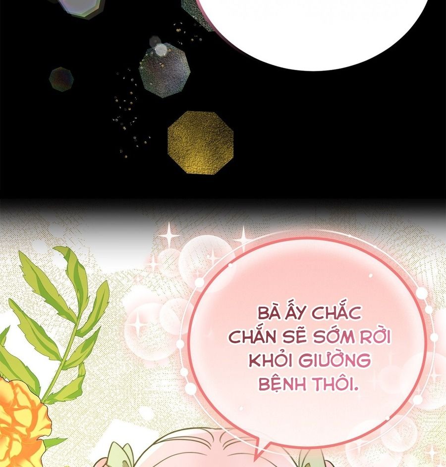 Không Bao Giờ Trở Về Gia Đình Đã Bỏ Rơi Tôi Chapter 30 - Trang 2