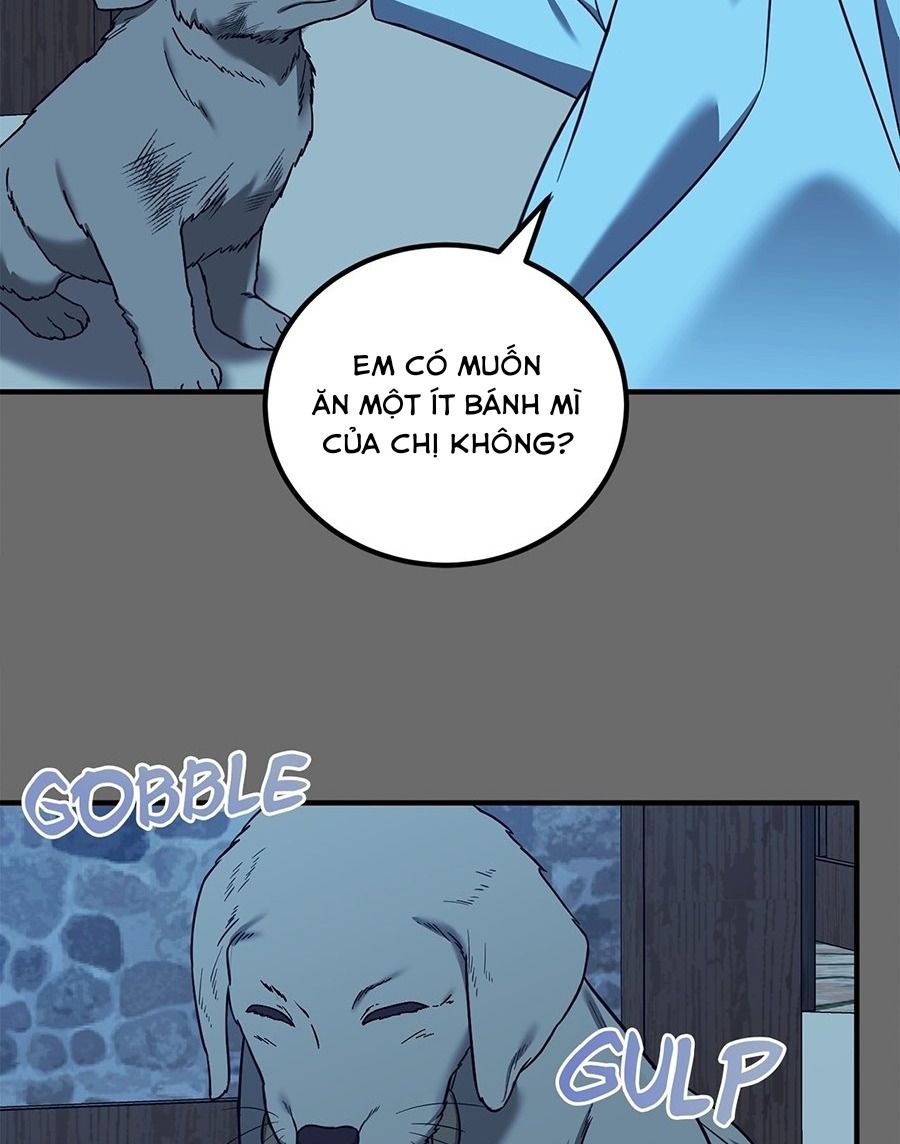 Không Bao Giờ Trở Về Gia Đình Đã Bỏ Rơi Tôi Chapter 62 - Trang 2