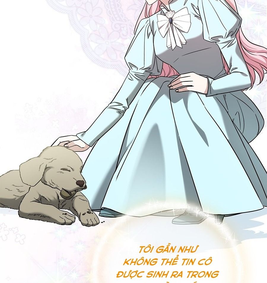 Không Bao Giờ Trở Về Gia Đình Đã Bỏ Rơi Tôi Chapter 62 - Trang 2